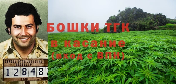 стафф Корсаков
