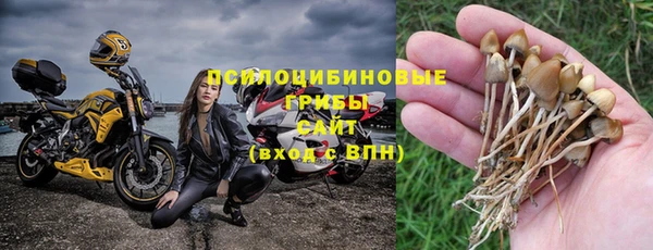 стафф Корсаков