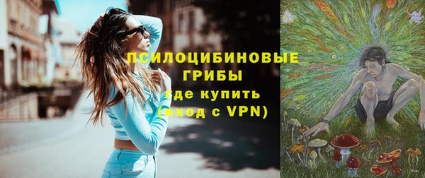 стафф Корсаков
