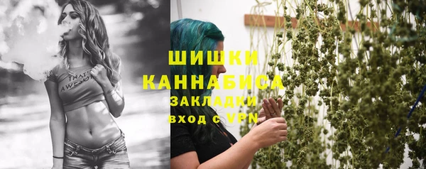 стафф Корсаков