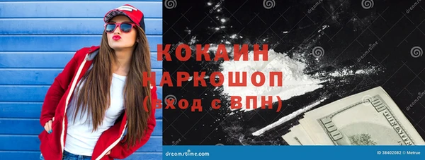 стафф Корсаков
