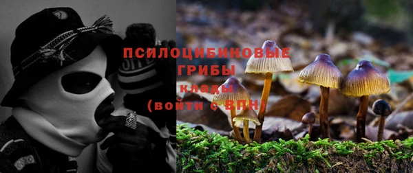 мдпв Коряжма