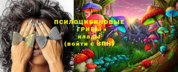 стафф Корсаков