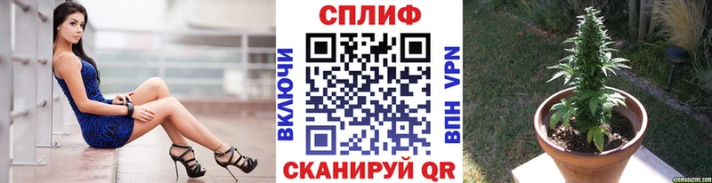 mega ссылка  купить наркоту  Новая Усмань  Шишки марихуана план 